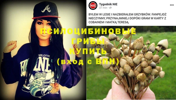 apvp Богородицк