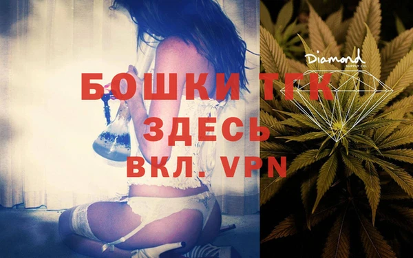 ПСИЛОЦИБИНОВЫЕ ГРИБЫ Осинники