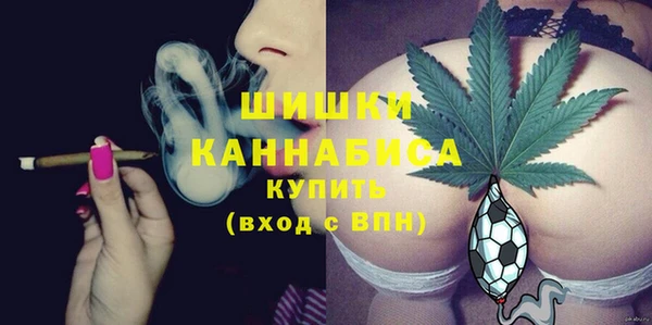 apvp Богородицк