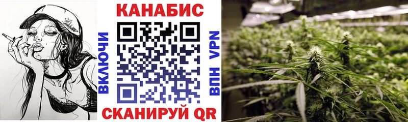 Конопля гибрид  Гусиноозёрск 